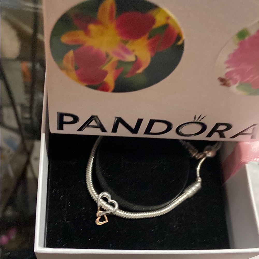 Pandora Moments Slider Bracelet with infinity heart charm. Never worn.